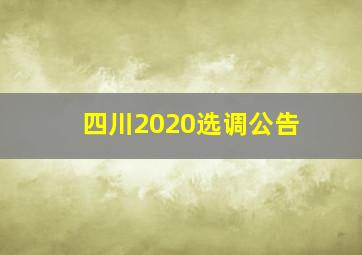 四川2020选调公告