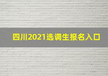 四川2021选调生报名入口