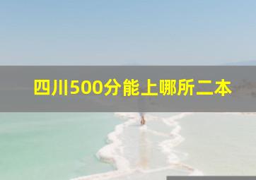 四川500分能上哪所二本