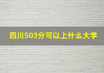 四川503分可以上什么大学