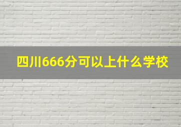 四川666分可以上什么学校