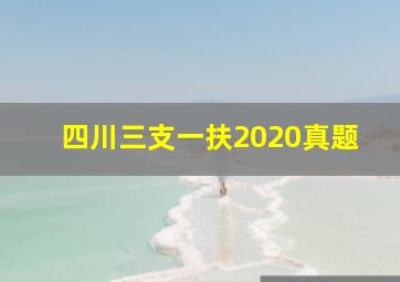 四川三支一扶2020真题