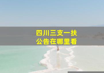 四川三支一扶公告在哪里看