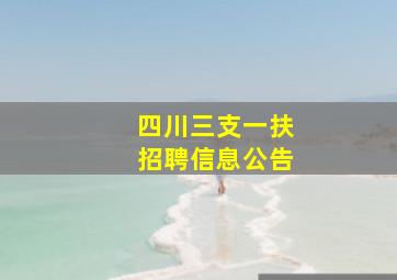 四川三支一扶招聘信息公告