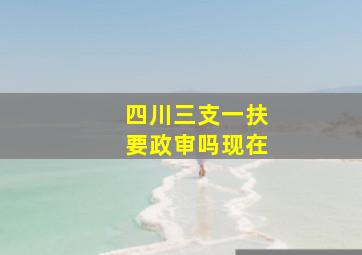 四川三支一扶要政审吗现在