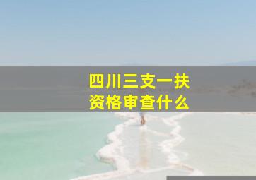 四川三支一扶资格审查什么