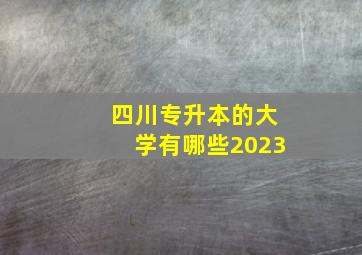 四川专升本的大学有哪些2023