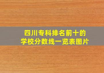 四川专科排名前十的学校分数线一览表图片