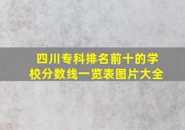 四川专科排名前十的学校分数线一览表图片大全