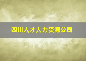 四川人才人力资源公司