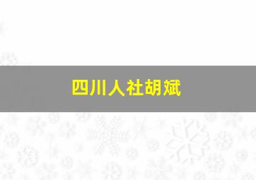 四川人社胡斌