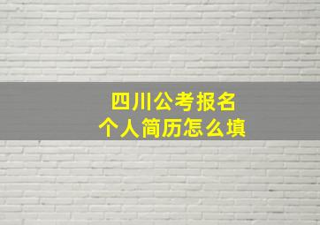 四川公考报名个人简历怎么填