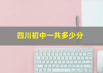 四川初中一共多少分