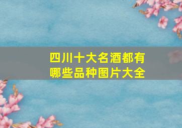 四川十大名酒都有哪些品种图片大全