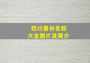 四川县份名称大全图片及简介