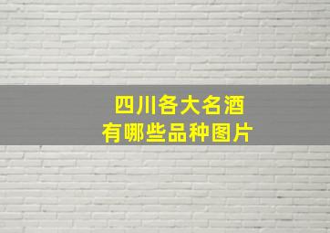 四川各大名酒有哪些品种图片