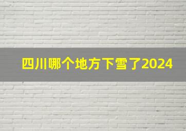 四川哪个地方下雪了2024