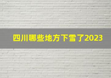 四川哪些地方下雪了2023