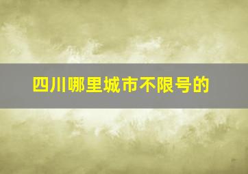 四川哪里城市不限号的