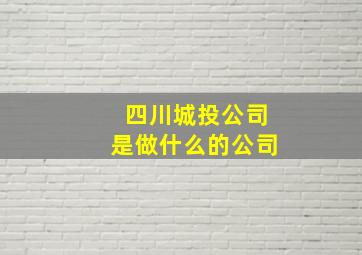 四川城投公司是做什么的公司