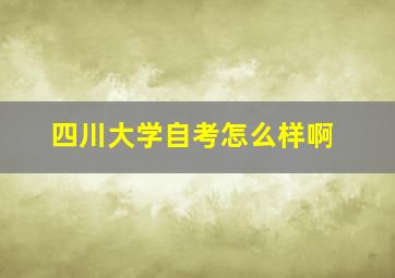 四川大学自考怎么样啊