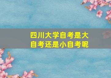 四川大学自考是大自考还是小自考呢