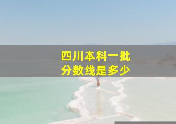 四川本科一批分数线是多少