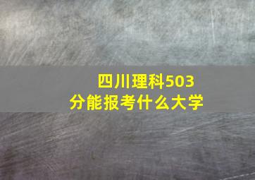 四川理科503分能报考什么大学