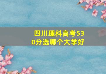 四川理科高考530分选哪个大学好