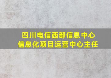 四川电信西部信息中心信息化项目运营中心主任