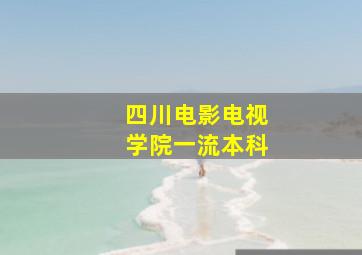 四川电影电视学院一流本科