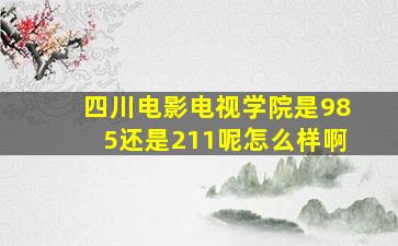 四川电影电视学院是985还是211呢怎么样啊