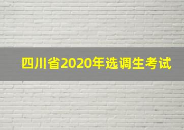 四川省2020年选调生考试