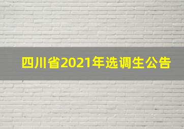 四川省2021年选调生公告