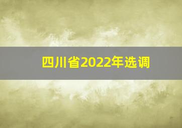 四川省2022年选调