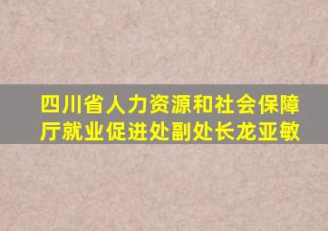 四川省人力资源和社会保障厅就业促进处副处长龙亚敏