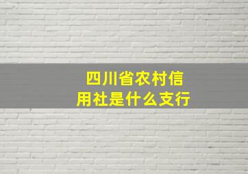 四川省农村信用社是什么支行