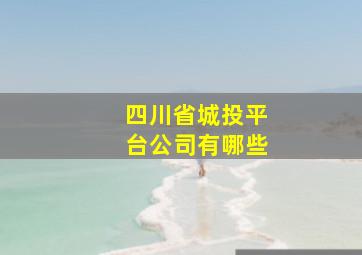 四川省城投平台公司有哪些