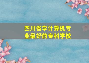 四川省学计算机专业最好的专科学校