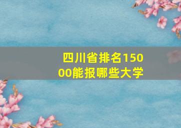 四川省排名15000能报哪些大学