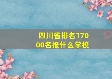 四川省排名17000名报什么学校