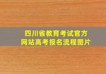 四川省教育考试官方网站高考报名流程图片