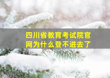 四川省教育考试院官网为什么登不进去了