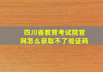 四川省教育考试院官网怎么获取不了验证码