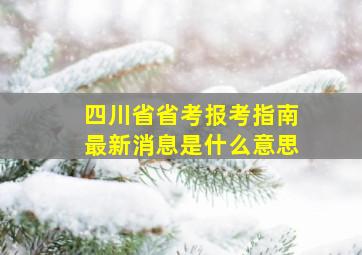 四川省省考报考指南最新消息是什么意思