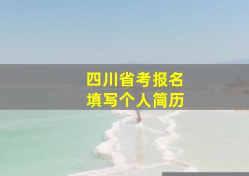 四川省考报名填写个人简历