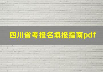 四川省考报名填报指南pdf