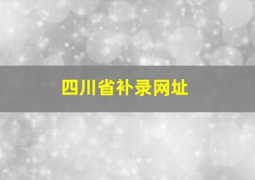 四川省补录网址