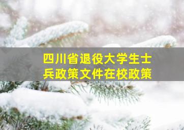 四川省退役大学生士兵政策文件在校政策