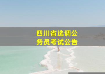 四川省选调公务员考试公告